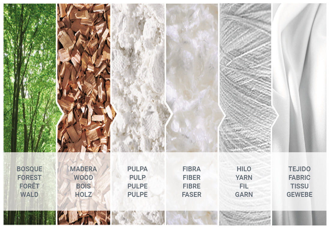 Image showing process of woodland to wood pulp to fibre to fabric.